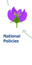 National Policies